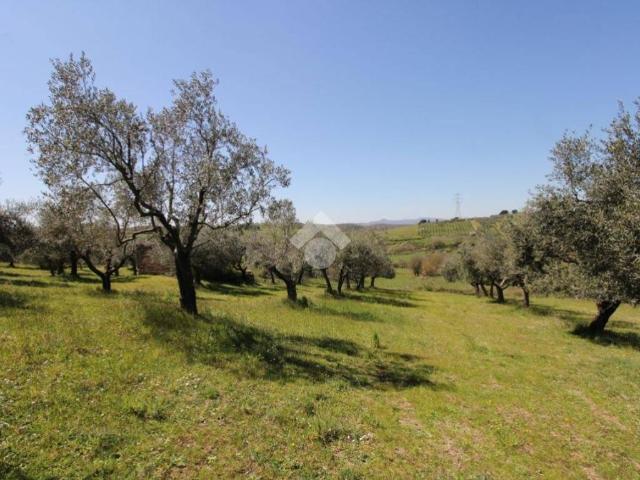 Terreno in vendita a Roma Capitale, Lazio
