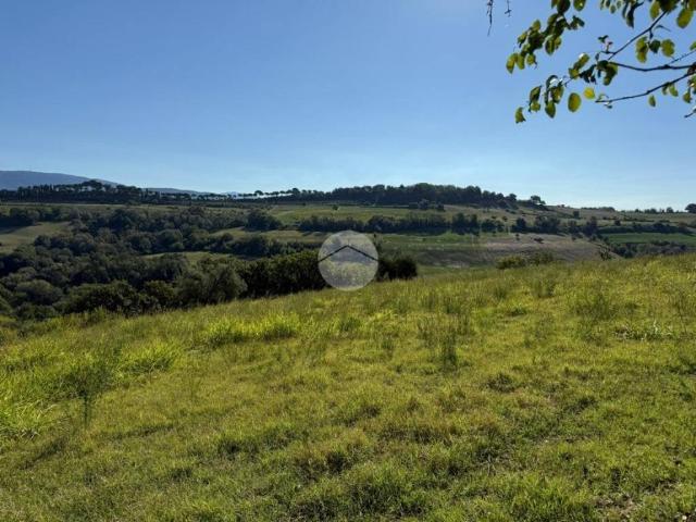 Terreno in vendita a Madonna degli Angeli, Magliano Sabina