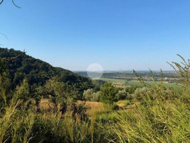 Terreno in vendita a Magliano Sabina, Lazio
