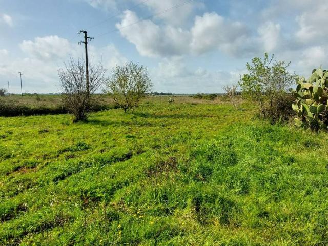 Terreno in vendita a Puglia, Lecce