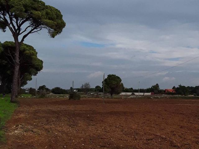 Terreno in vendita a Puglia, Lecce