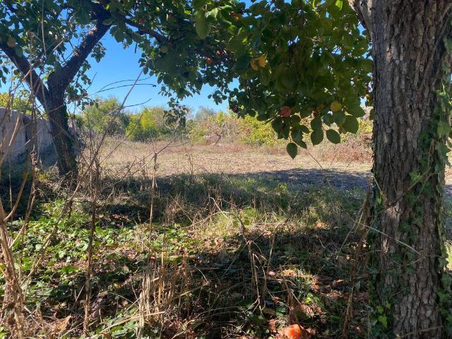 Terreno in vendita a Puglia, Lecce