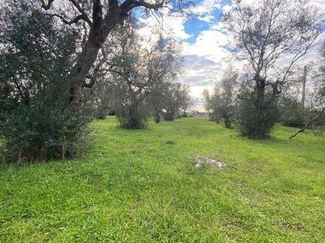 Terreno in vendita a Puglia, Lecce