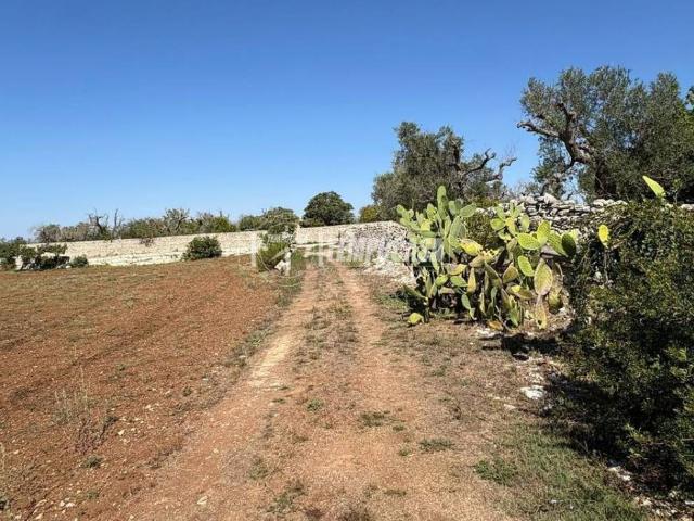 Terreno in vendita a Puglia, Lecce