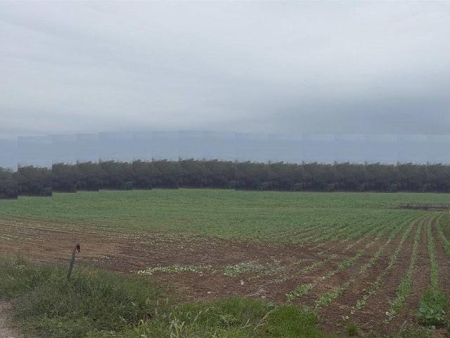 Terreno in vendita a Magnago, Milano