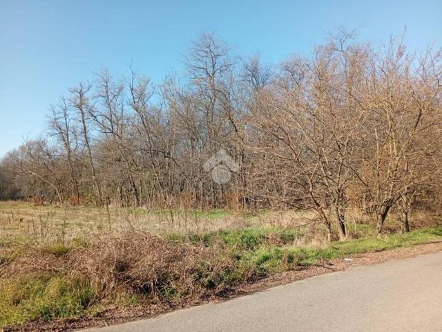 Terreno in vendita a Magnago, Lombardia