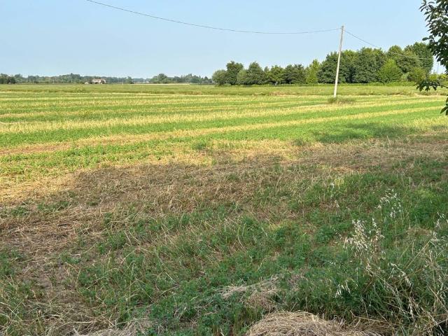 Terreno in vendita a Unione Terre di Pianura, Malalbergo