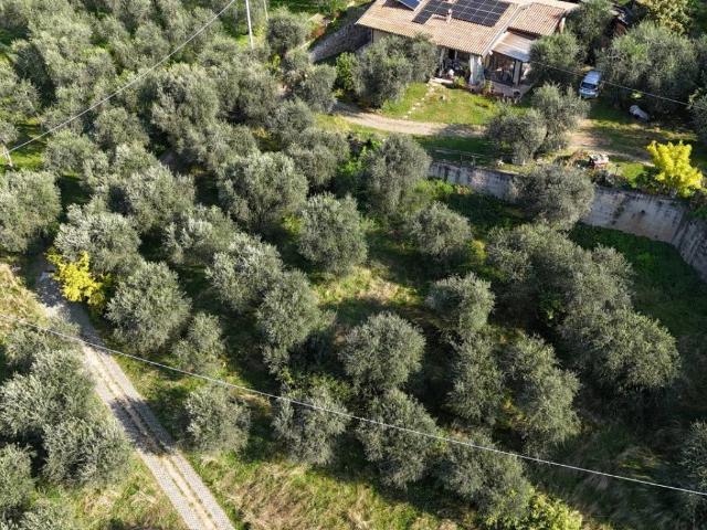 Terreno in vendita a Malcesine, Veneto