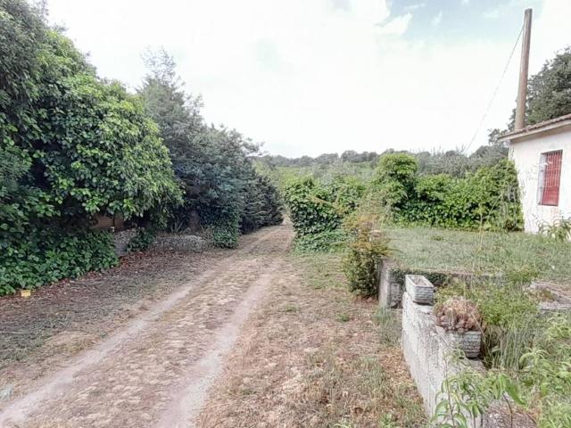 Terreno in vendita a Mamoiada, Sardigna/Sardegna