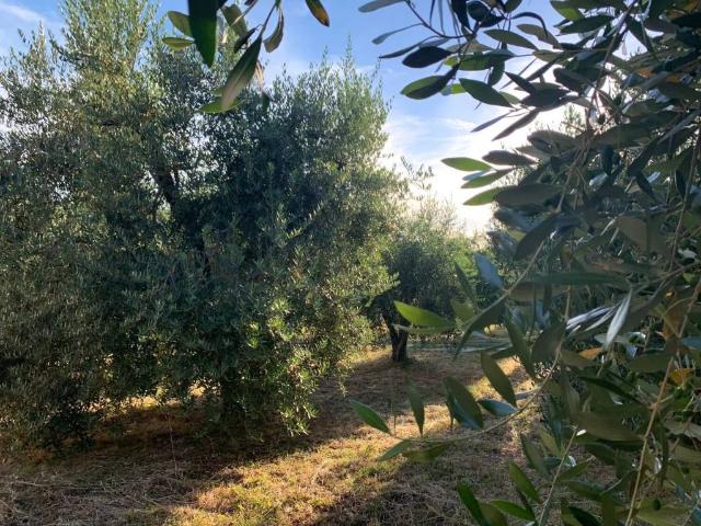 Terreno in vendita a Unione di Comuni Montani Colline del Fiora, Manciano