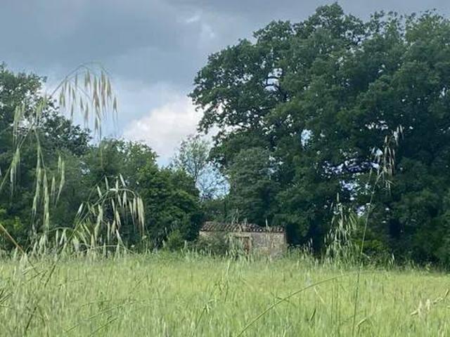Terreno in vendita a Saturnia, Manciano