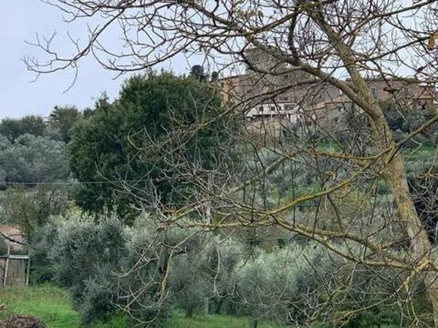 Terreno in vendita a Montemerano, Manciano