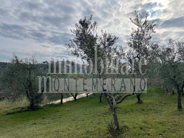Terreno in vendita a Unione di Comuni Montani Colline del Fiora, Manciano