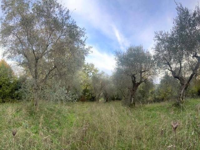 Terreno in vendita a Unione di Comuni Montani Colline del Fiora, Manciano