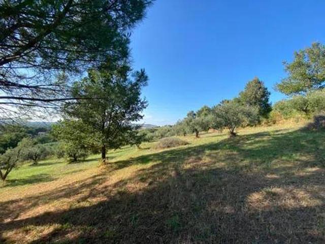 Terreno in vendita a Manciano, Grosseto