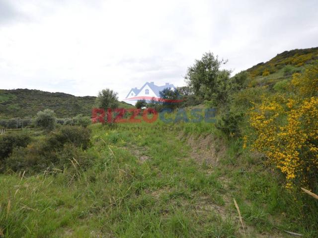 Terreno in vendita a Calabria, Cosenza