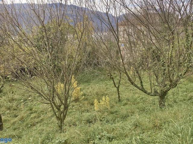 Terreno in vendita a Mandello Del Lario, Lombardia