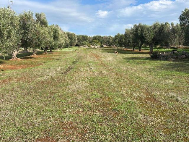 Terreno in vendita a Puglia, Taranto