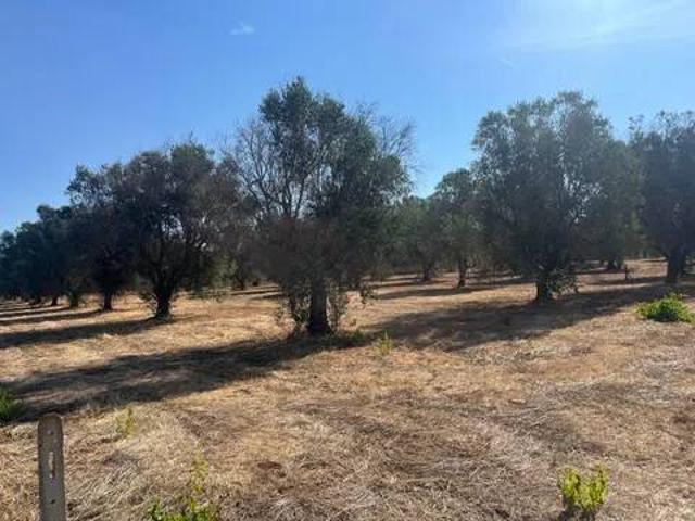 Terreno in vendita a Puglia, Taranto
