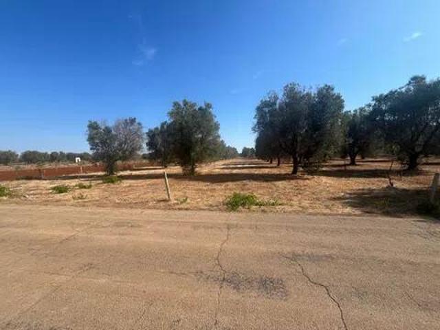 Terreno in vendita a Puglia, Taranto
