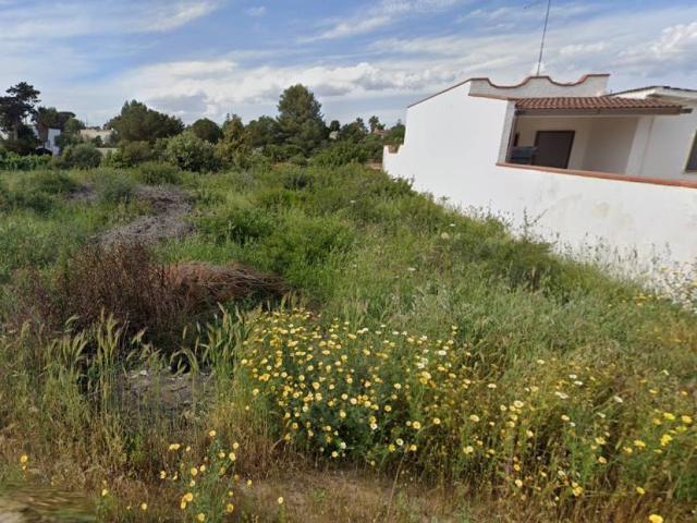 Terreno in vendita a Puglia, Taranto