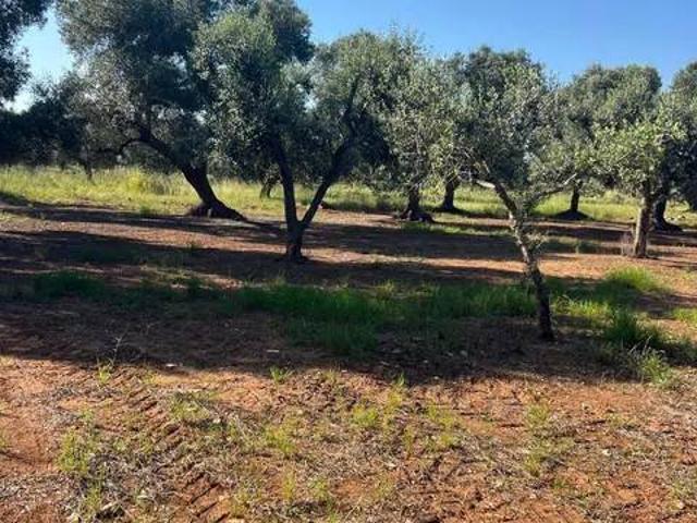 Terreno in vendita a Puglia, Taranto
