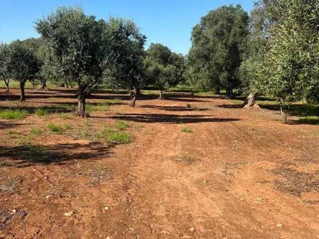 Terreno in vendita a Puglia, Taranto