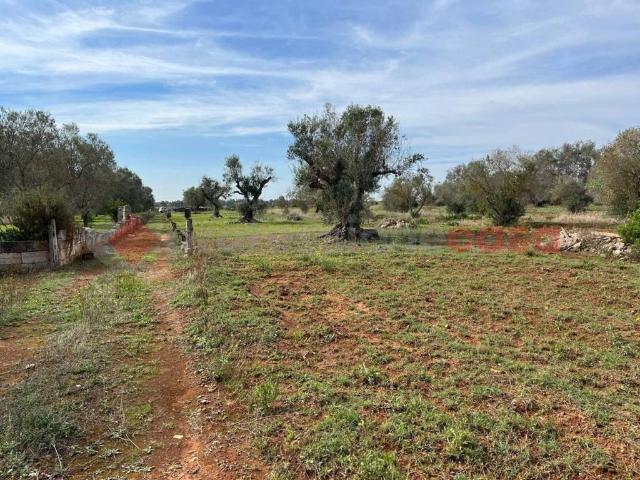 Terreno in vendita a Puglia, Taranto