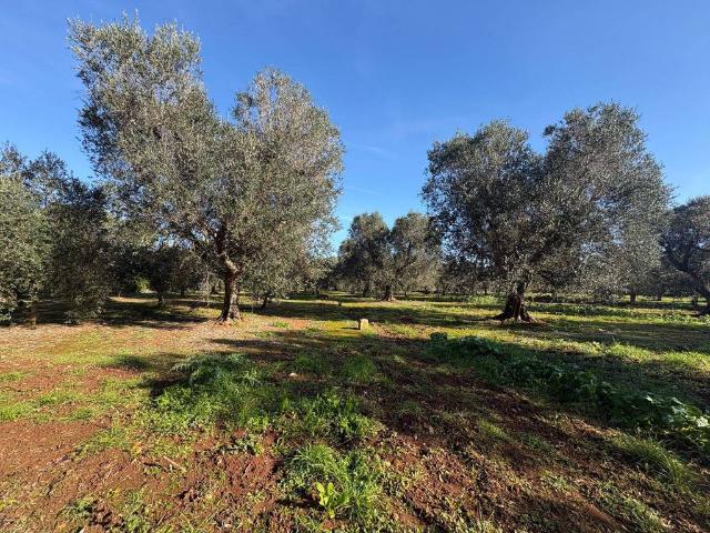Terreno in vendita a Puglia, Taranto