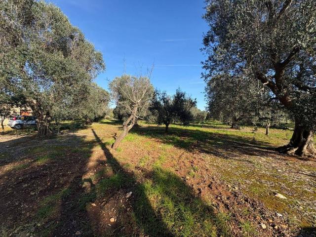 Terreno in vendita a Puglia, Taranto