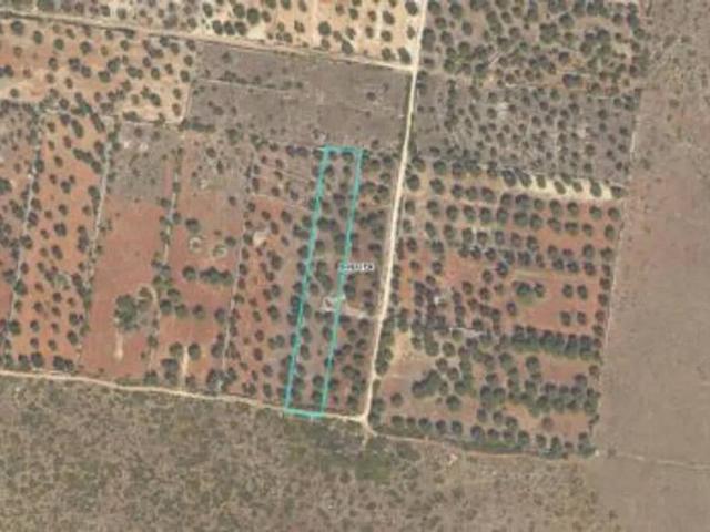 Terreno in vendita a Puglia, Taranto