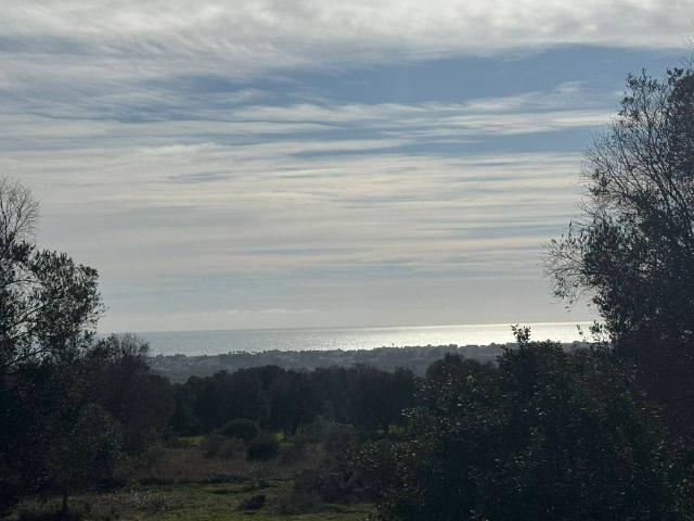 Terreno in vendita a Puglia, Taranto