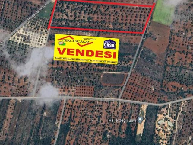 Terreno in vendita a Puglia, Taranto