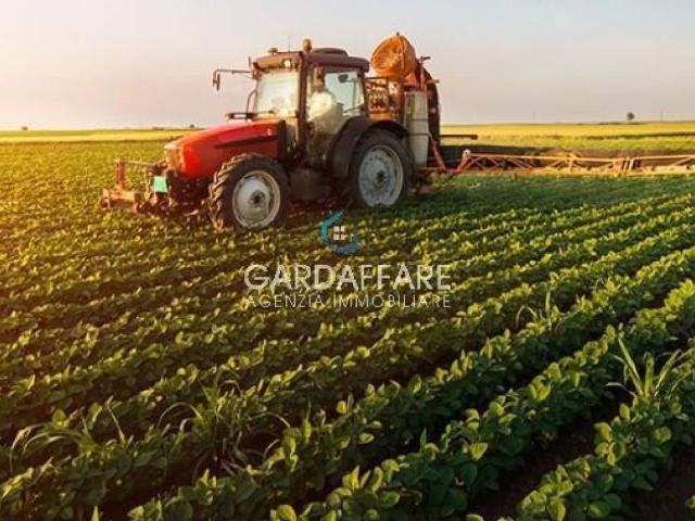 Terreno in vendita a Balbiana, Manerba Del Garda