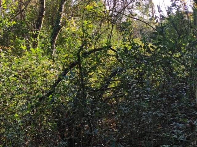 Terreno in vendita a Montinelle, Manerba Del Garda