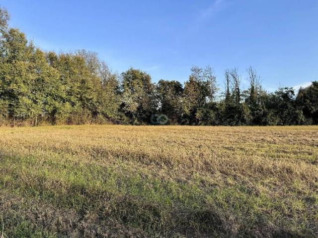 Terreno in vendita a Manerba Del Garda, Lombardia
