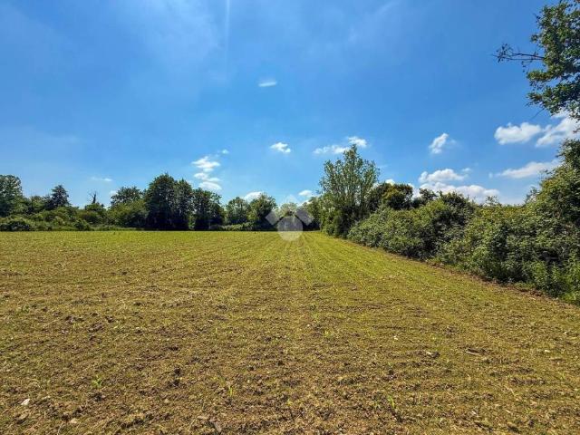 Terreno in vendita a Manerba Del Garda, Lombardia