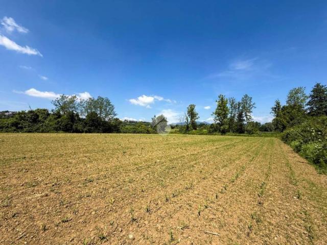 Terreno in vendita a Manerba Del Garda, Lombardia