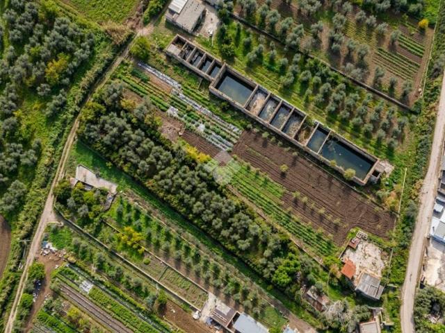 Terreno in vendita a Puglia, Foggia