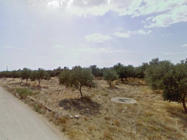 Terreno in vendita a Puglia, Foggia