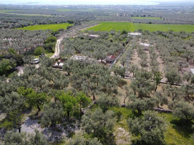 Terreno in vendita a Puglia, Foggia