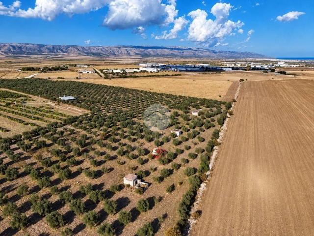 Terreno in vendita a Manfredonia, Foggia