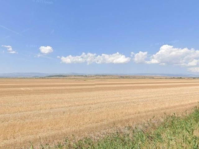 Terreno in vendita a Puglia, Foggia