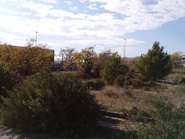 Terreno in vendita a Puglia, Foggia