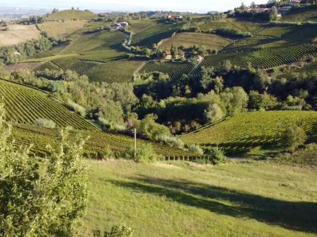 Terreno in vendita a Piemonte, Cuneo
