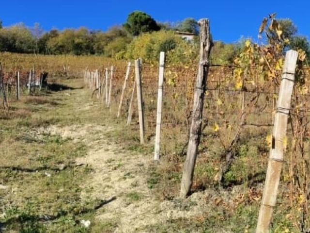 Terreno in vendita a Piemonte, Cuneo