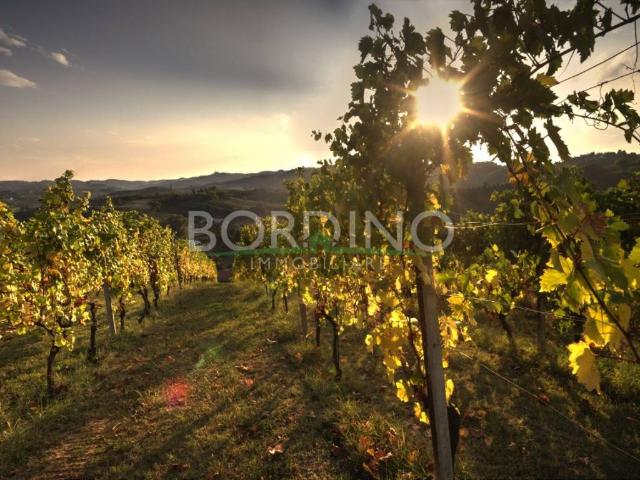 Terreno in vendita a Piemonte, Cuneo