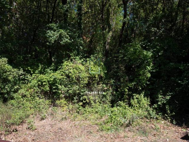 Terreno in vendita a Manocalzati, Campania