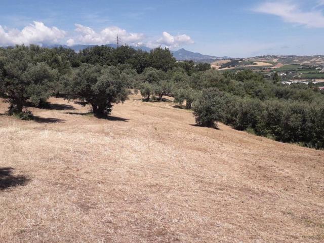 Terreno in vendita a Manoppello, Abruzzo
