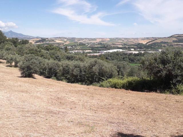 Terreno in vendita a Manoppello, Abruzzo